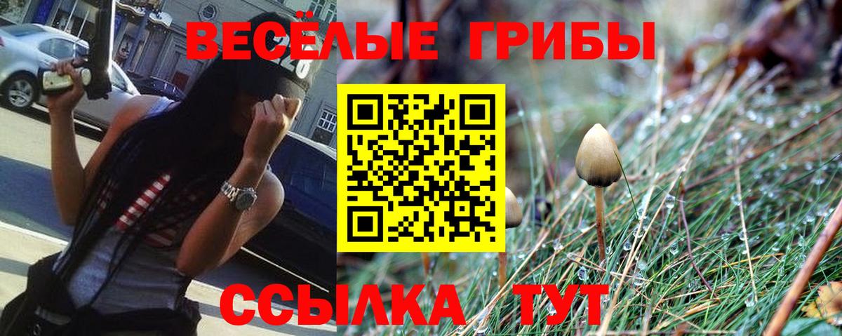 Саянск  Псилоцибиновые грибы прущие грибы  Вход с VPN 