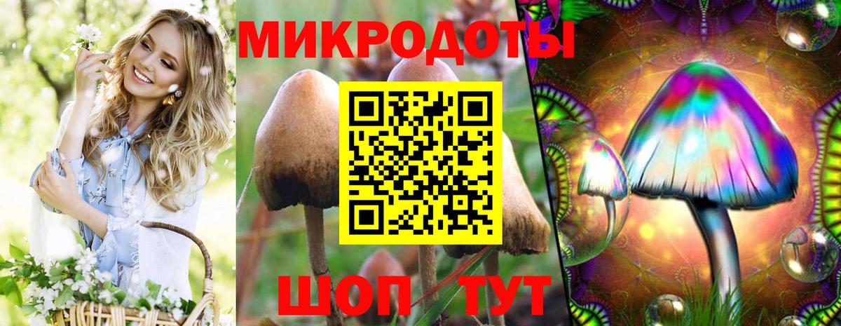 Галлюциногенные грибы Cubensis Саянск